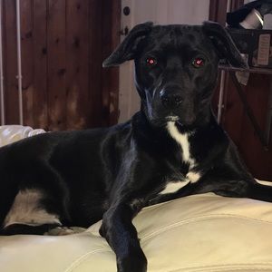 Meet your Posher, Scott